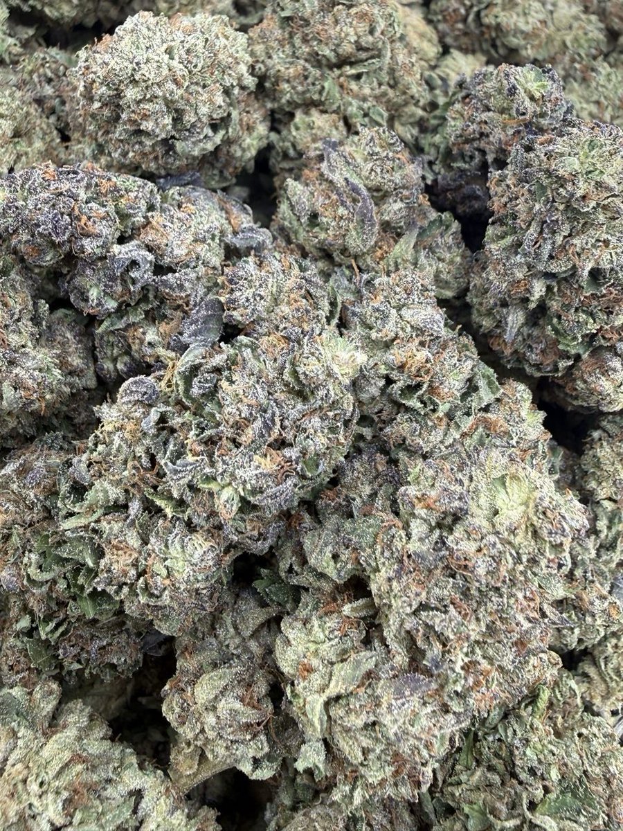 og_smoka's tweet image. keep the day going.Rainbow Gelato AAA 🌈🍧Colorful buds with a mix of green and deep purple, coated in a thick layer of frost. Smell is sweet and creamy with a fruity twist #topshelf
#mids #kind #brickweed #420Community
#420Friendly
#CannabisCommunity