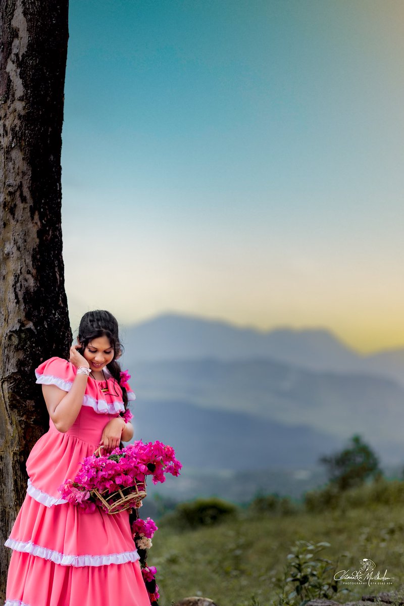 🤩 බෙලී 🤩 tweet media