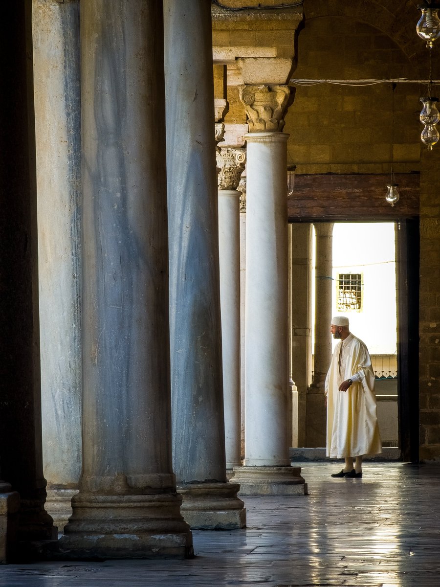 شتوي tweet media