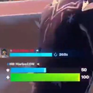 Gentle Mates tweet media