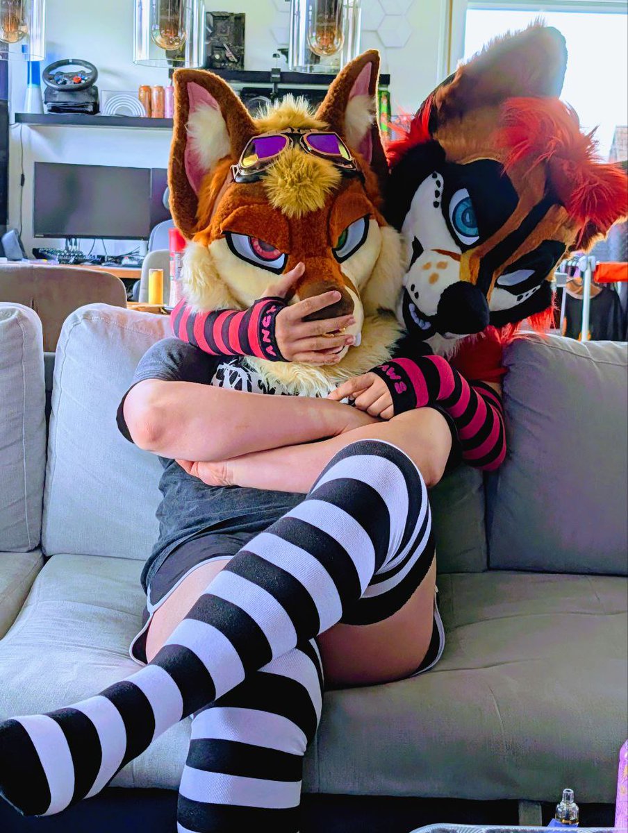 Rolen🦊 tweet media