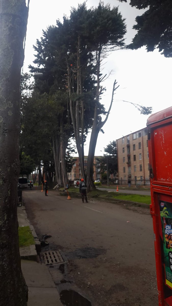 Andrés Osejo tweet media