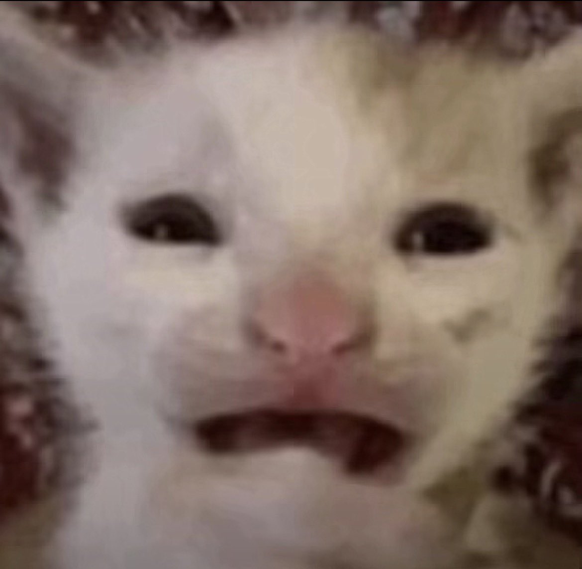 🙂bud🙂 tweet media