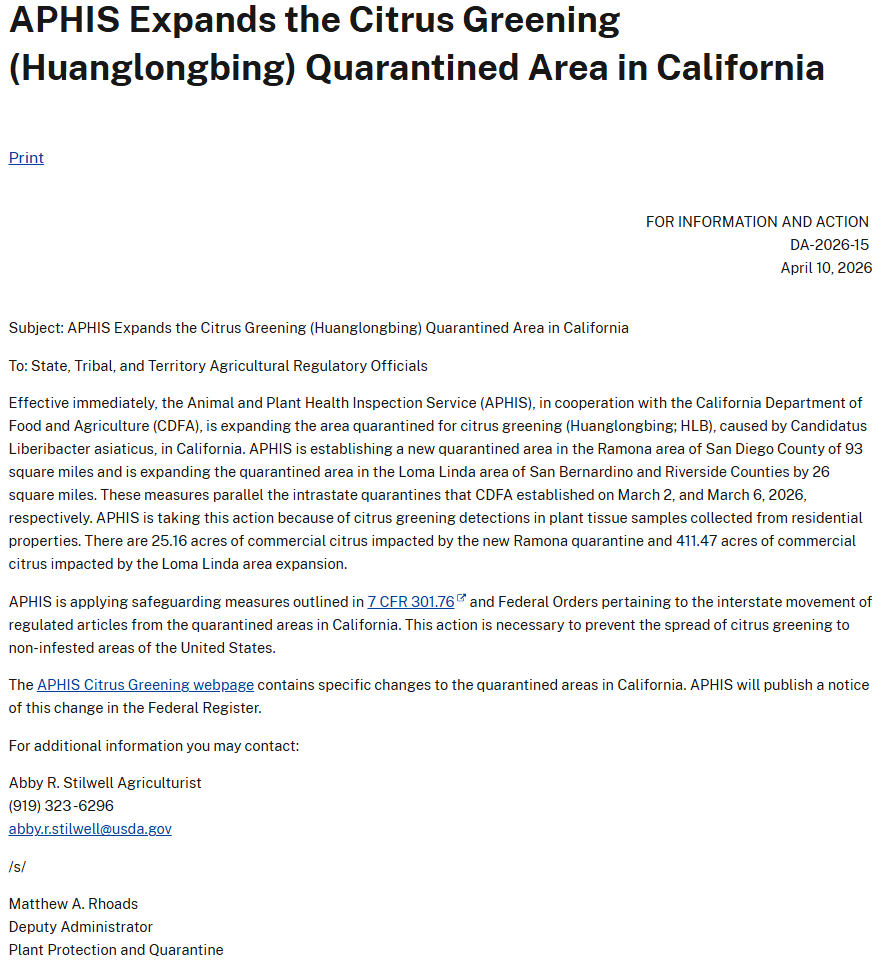 CaCitrusMutual's tweet photo. A federal HLB quarantine covering 93 sq mi in Ramona has been established by @USDA_APHIS. This expands the Loma Linda quarantine by 26 sq mi. 

430+ acres of commercial citrus impacted. Federal restrictions on interstate citrus movement are now in effect.

https://t.co/aGXqysKZAH https://t.co/HtbQOxVa0l