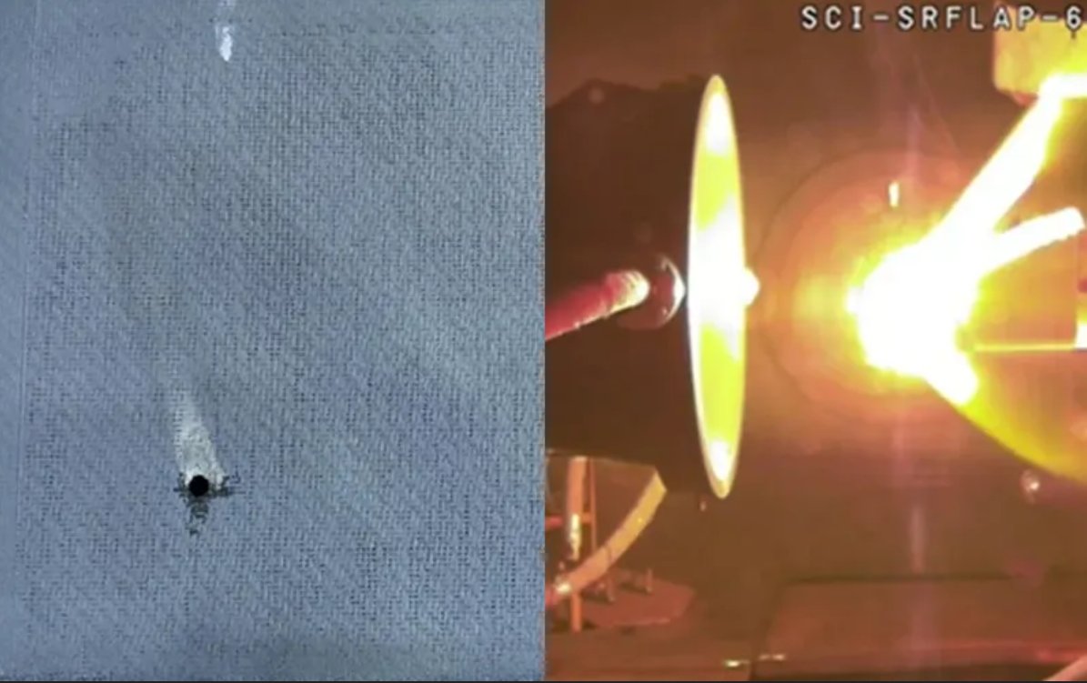 Mushmulka Space tweet media