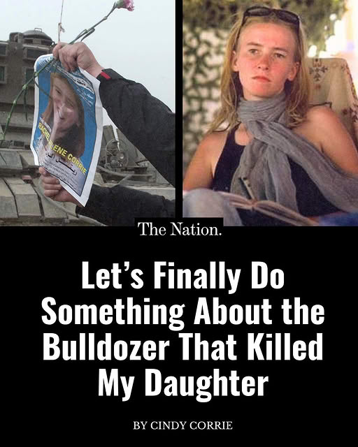 James Tate tweet media