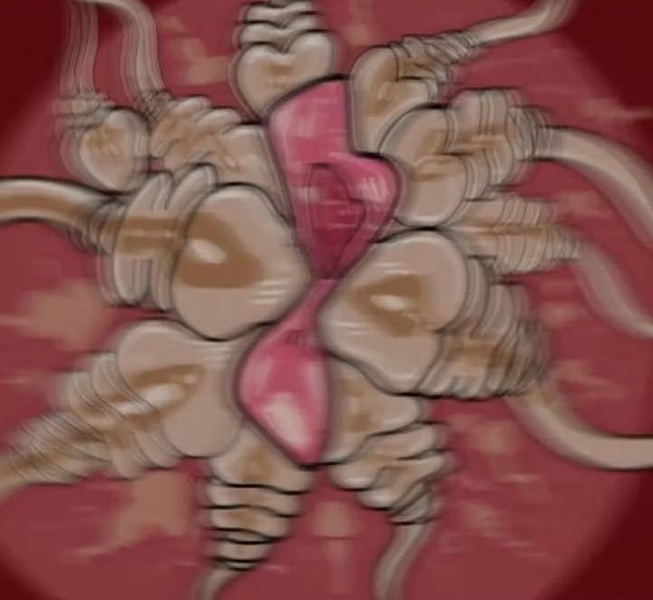 Kobayashi's house 彡★ tweet media