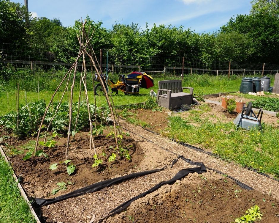 VegPlotter.com tweet media