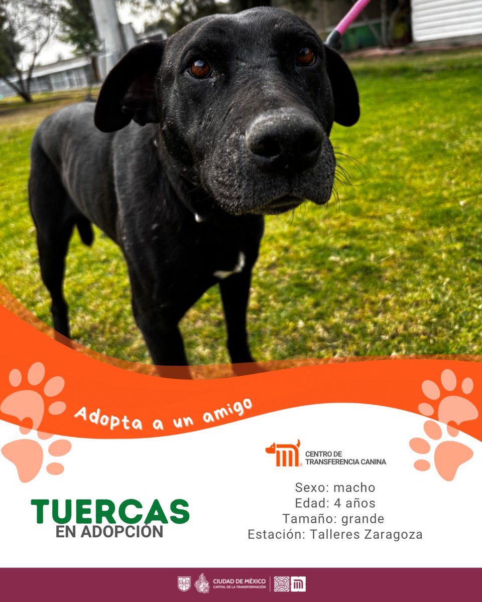 MetroCDMX tweet media