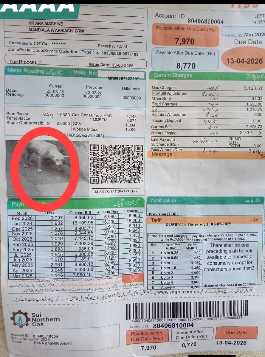 iram shahzadi(ارم رائے) tweet media