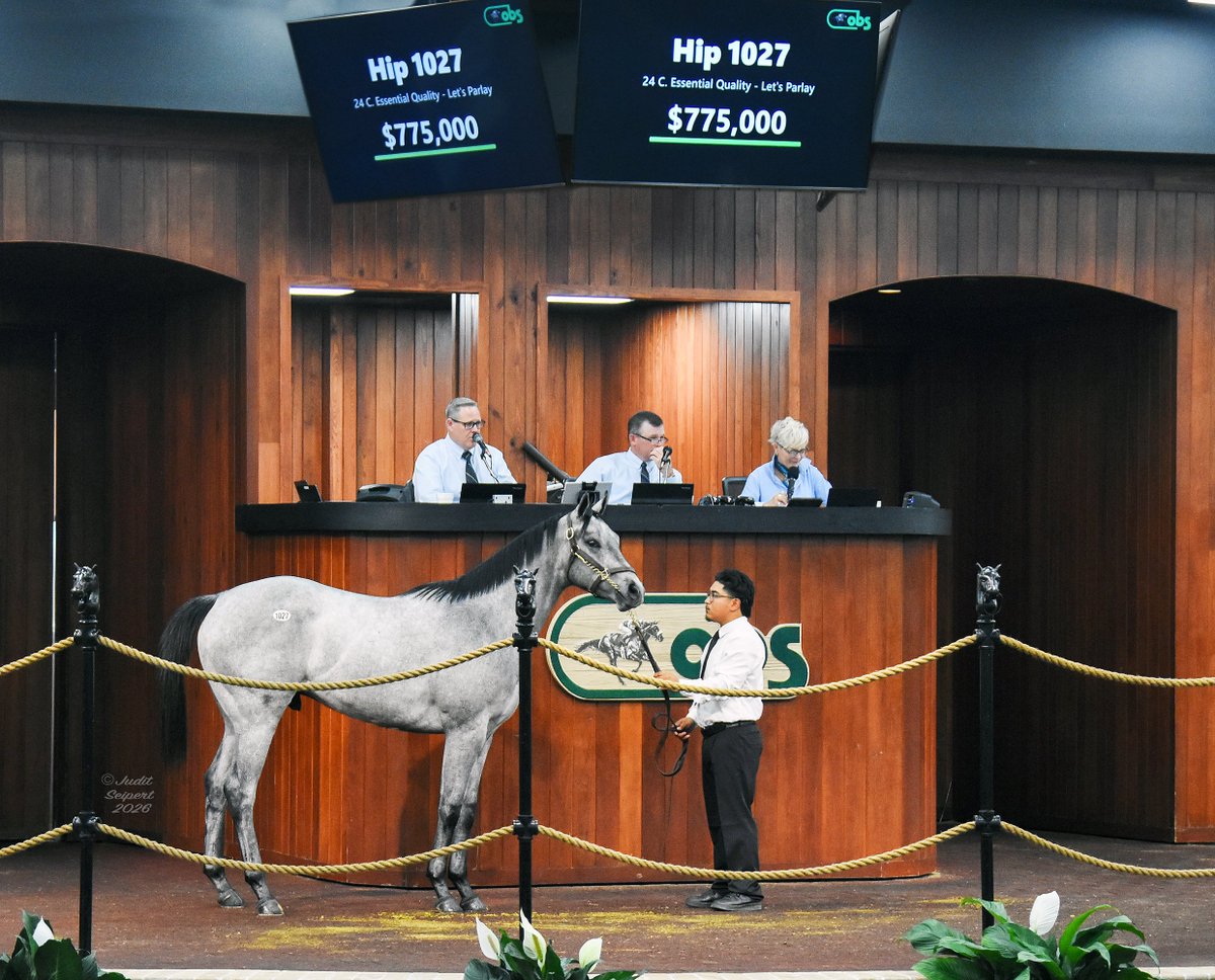 DarleyAmerica's tweet photo. 💪 #EssentialQuality going strong @OBSSales! Today's results:

👉 $775,000, hip 1027, was consigned by Hoppel, LLC, agt., and purchased by MorPlay Racing / Marquee Bloodstock / MyRacehorse.

👉 $610,000, hip 1178, was consigned by Sequel Bloodstock, agt., for Chester Broman, and purchased by Go Go Greys, B S W / Crow, agt.
