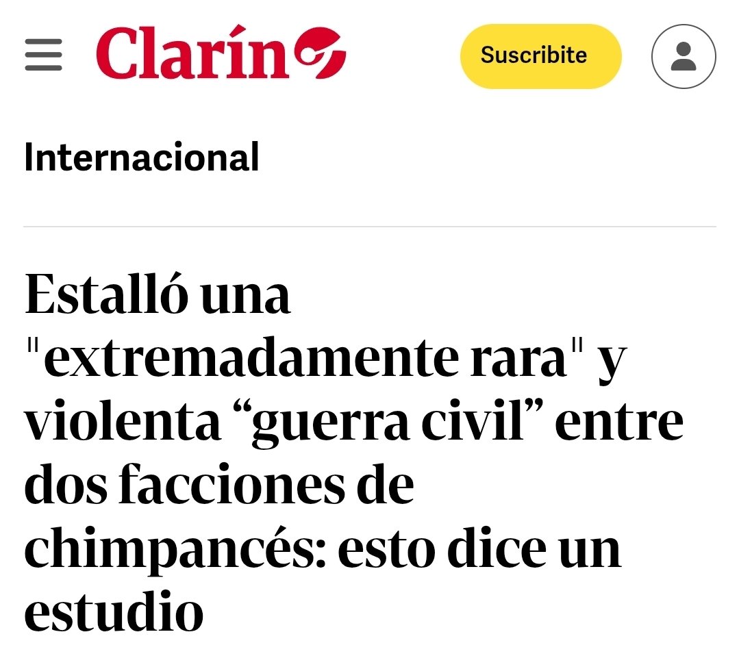 Octavio Crivaro tweet media