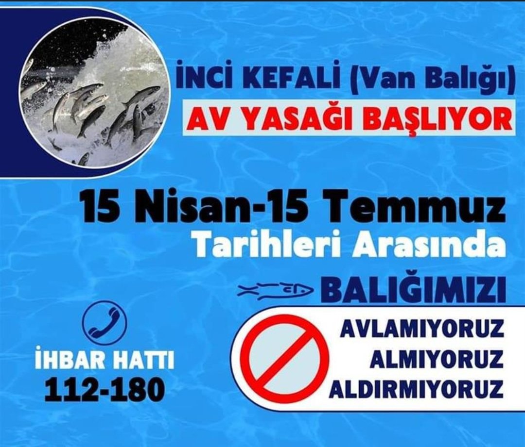Van'lı Aktivist tweet media