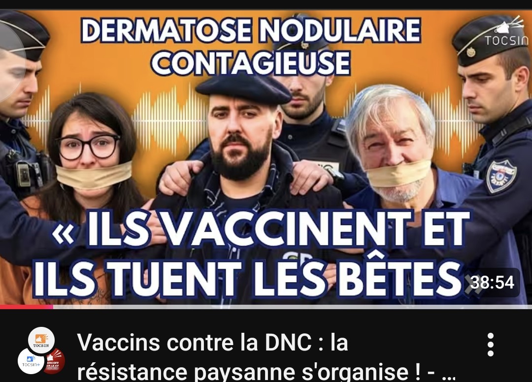 Sabatier Jean-Marc tweet media