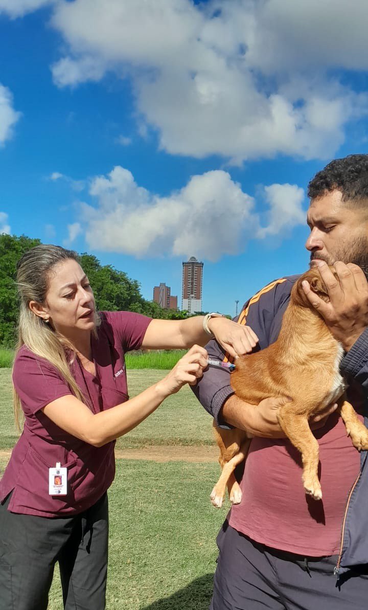 Municipalidad de Asunción tweet media