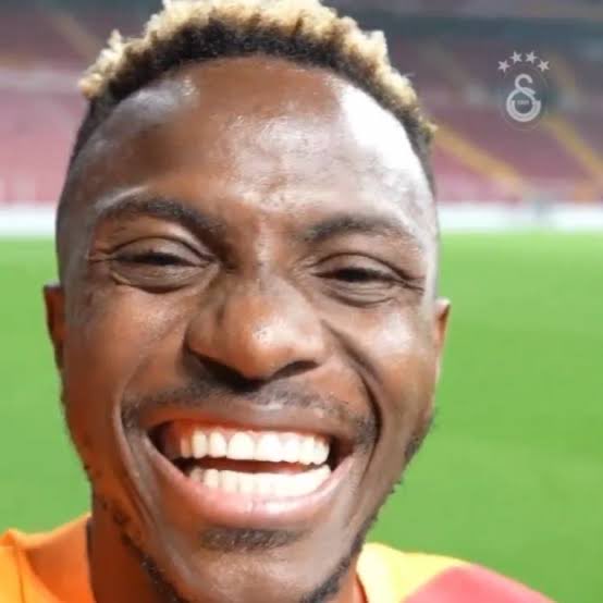 P İ T B U L L tweet media