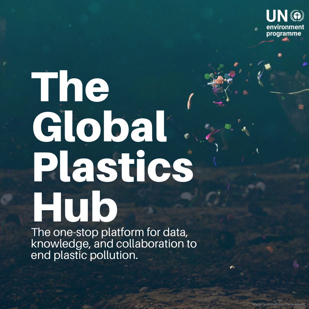 UN Environment Programme tweet media
