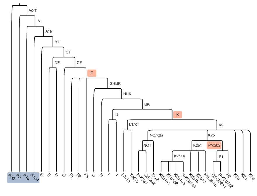 Silent observer James tweet media