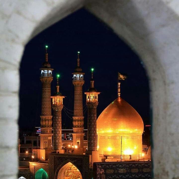 م.ن.حیدر tweet media