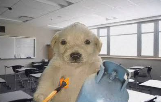 Traductor 🥹💕💐 tweet media