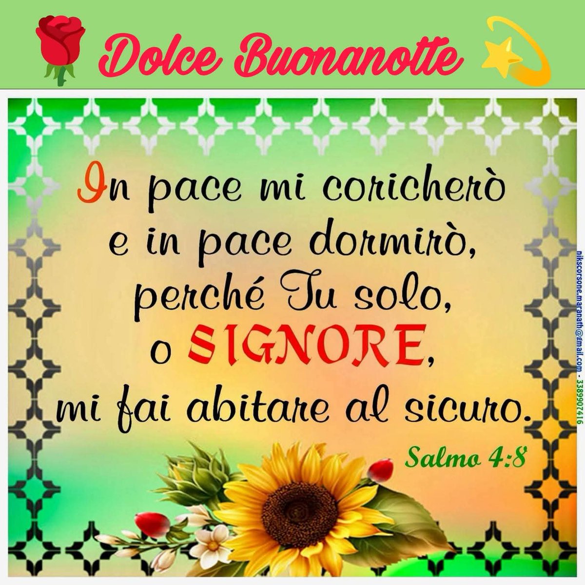 emmpad2's tweet image. #Twitter #TwitterX #Buonanotte Gesù vi benedica