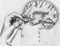 tripledih tweet media