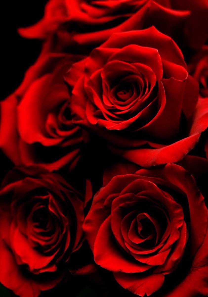 MyPowertalk's tweet image. Words matter.

When you speak with gratitude,
you open the floodgates of abundance.

When you speak with compassion,
you attract good relationships.

When you speak with excitement and joy,
you boost happiness into your reality. ♥️

#FridayFeeling