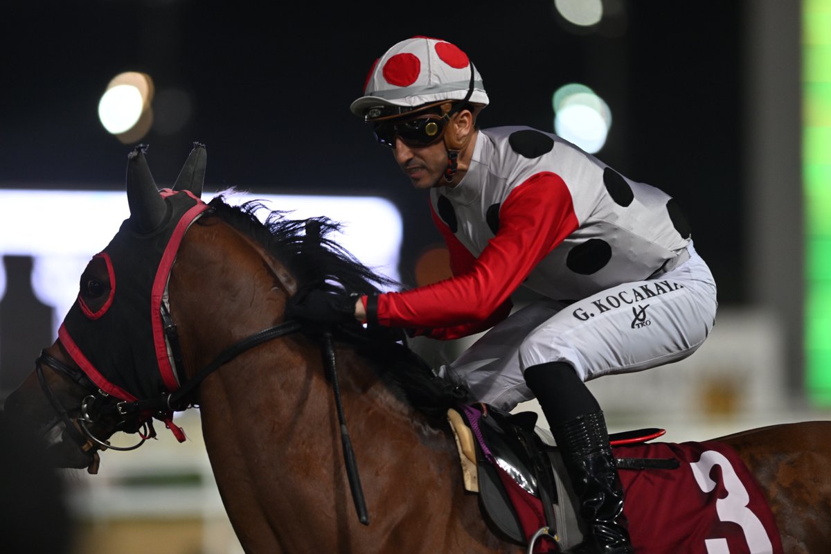 Kadir Çivici tweet media