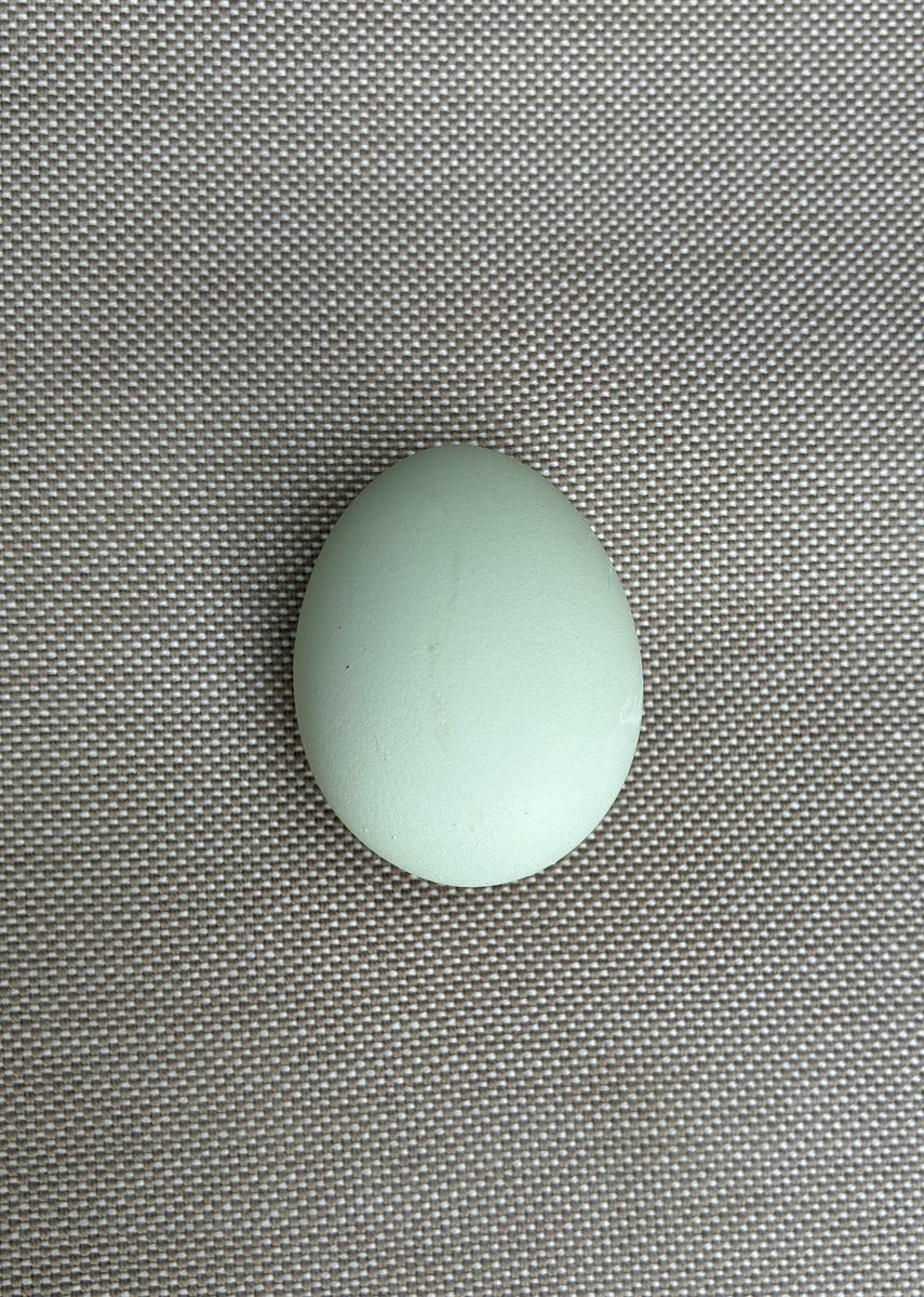 Embajadora de Suecia en Chile tweet media