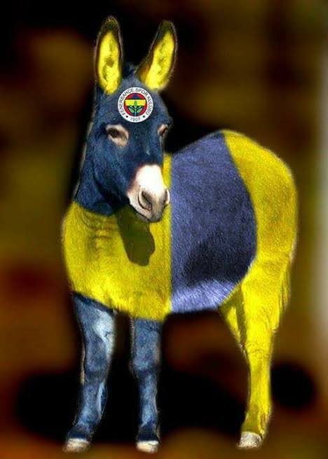 (TaYYaR) tweet media