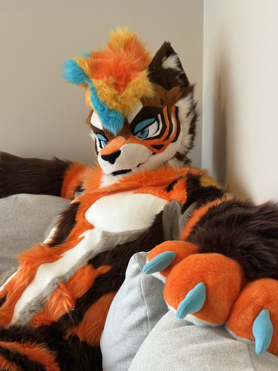 Kovu 🇧🇻 tweet media