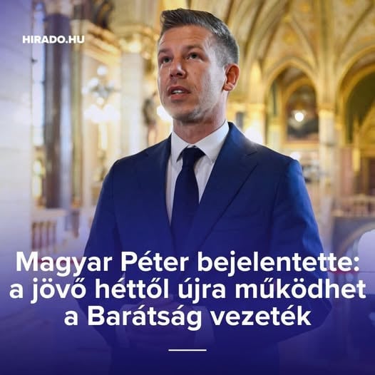 Lipsisimogató plüssbalta tweet media
