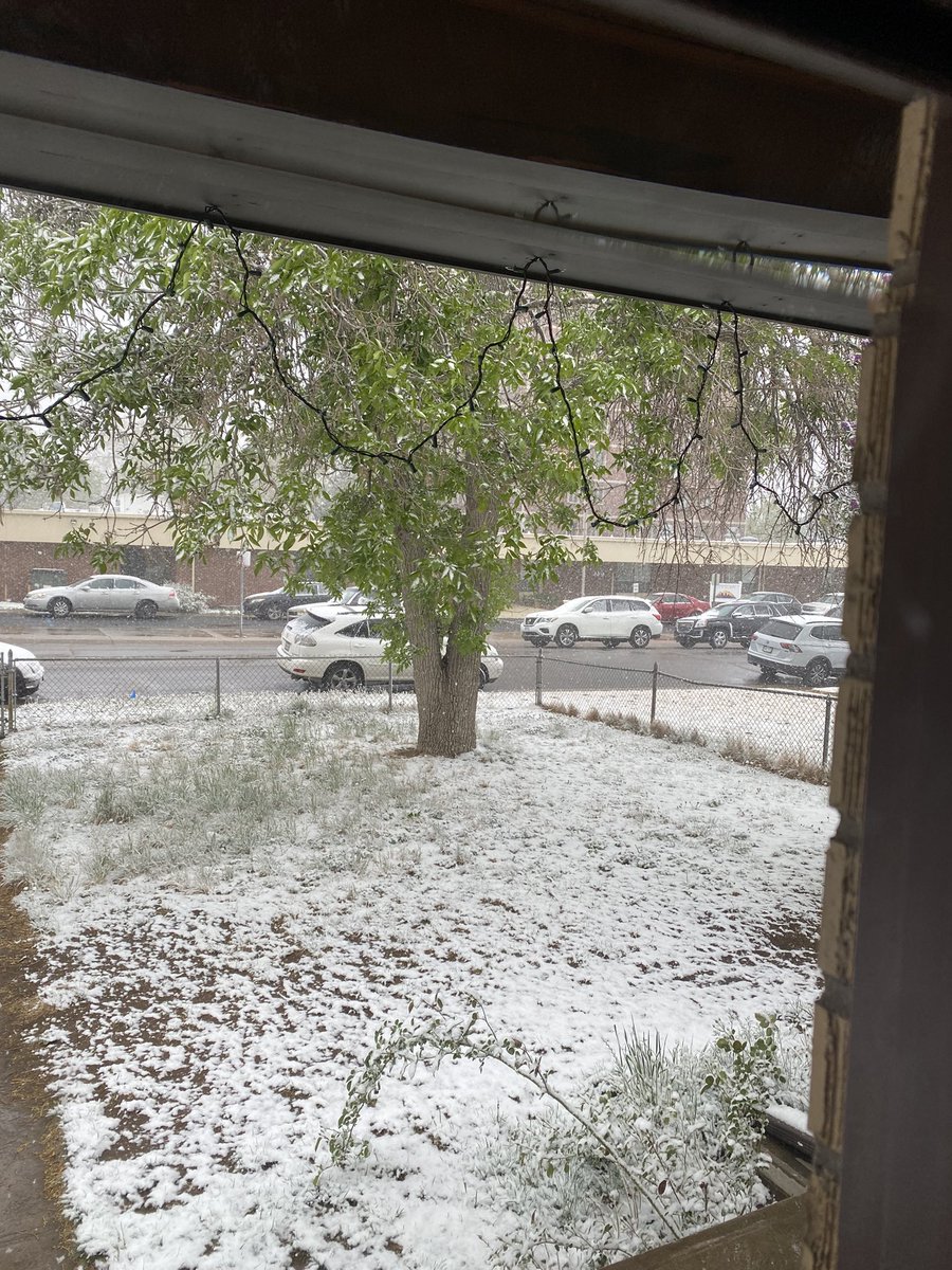JustinMVicroy's tweet image. What month is it again? #DenverWeather #snow #april #springishereagain