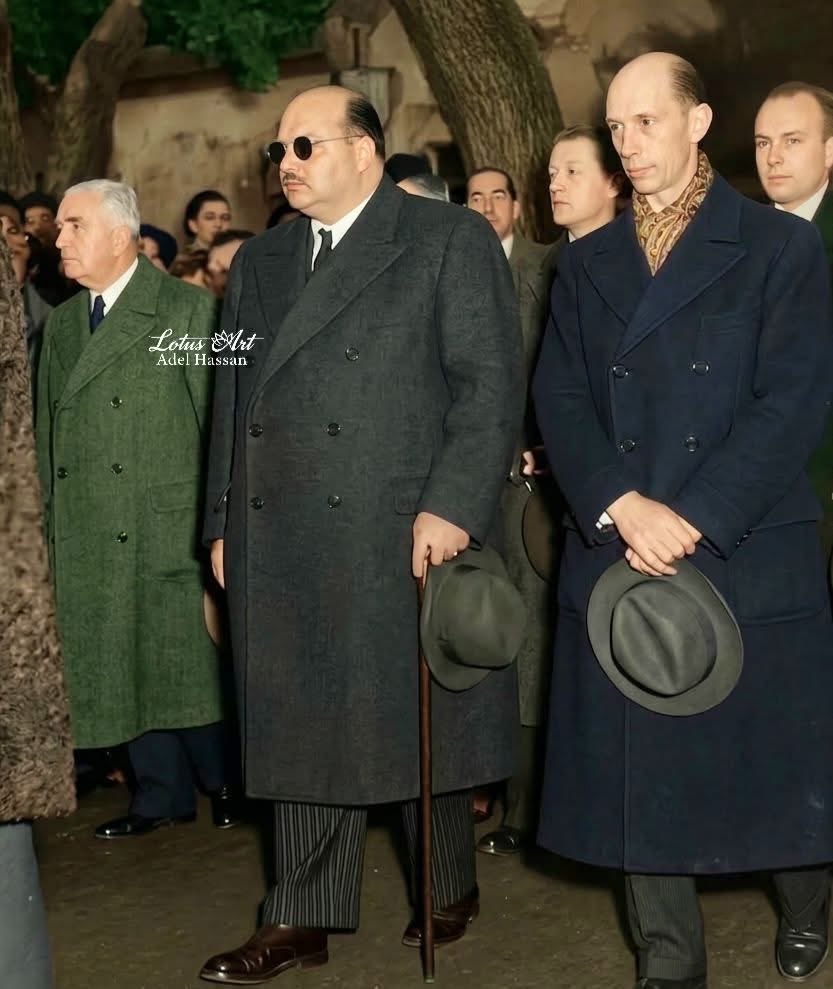 CairoEra tweet media