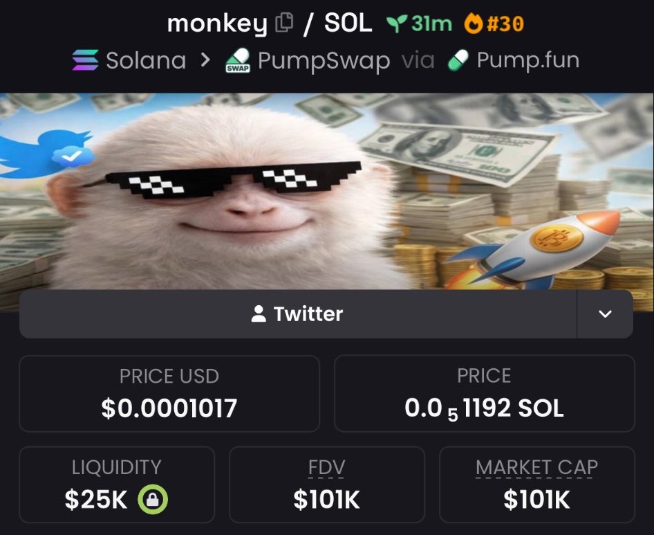 FomoChemist's tweet image. Spotlighted $monkey at $101K Mcap in my alpha Tg

4dY1sg9DMP1Haf5nF8ZVz1XHxjo9NCb3j5zJvgjKpump

#monkey #memecoin #solana