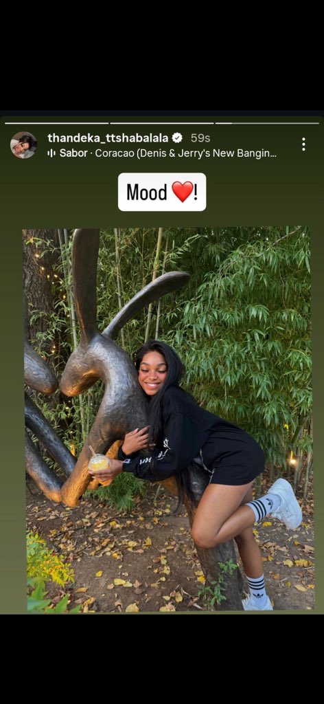 🧲 ZEE THE COOKER tweet media