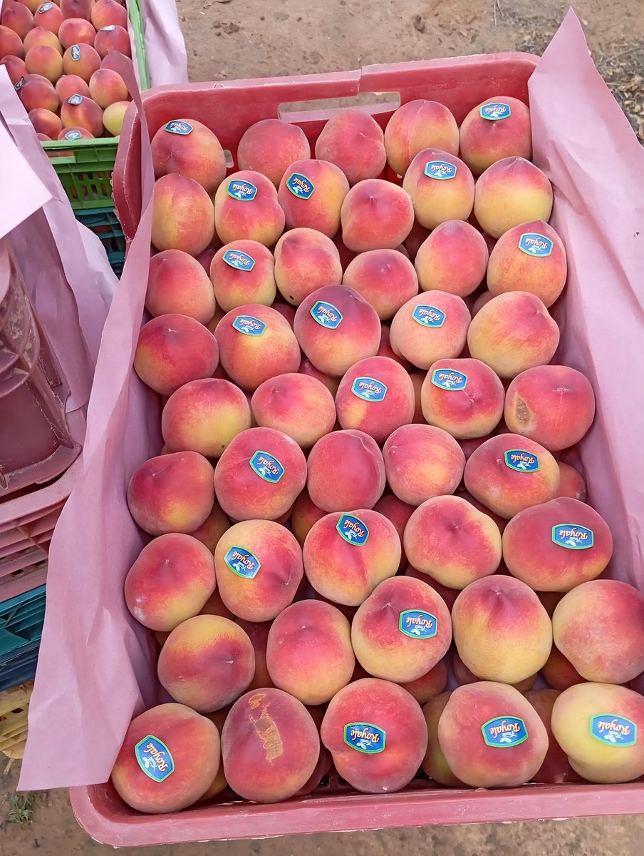 الجبهة الاقتصادية اليمنية tweet media