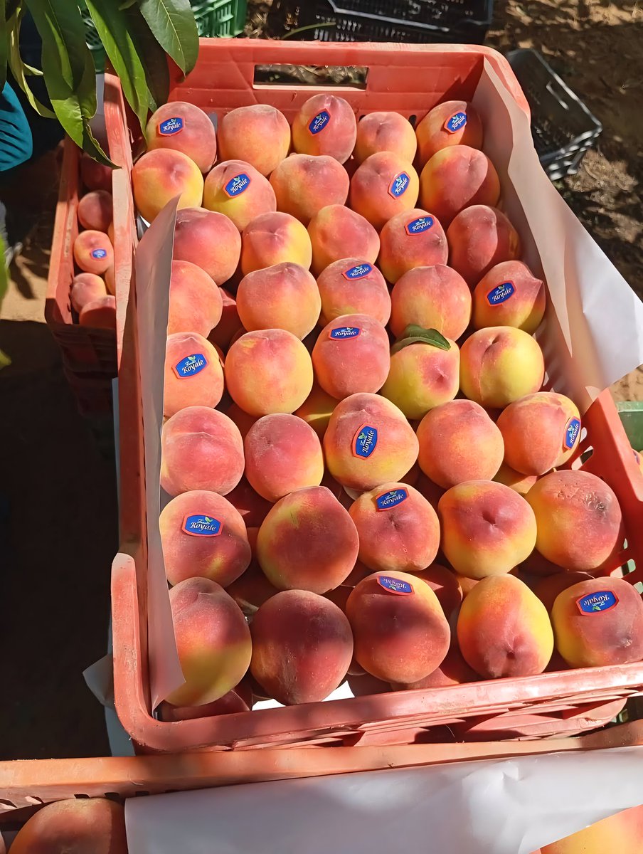 الجبهة الاقتصادية اليمنية tweet media