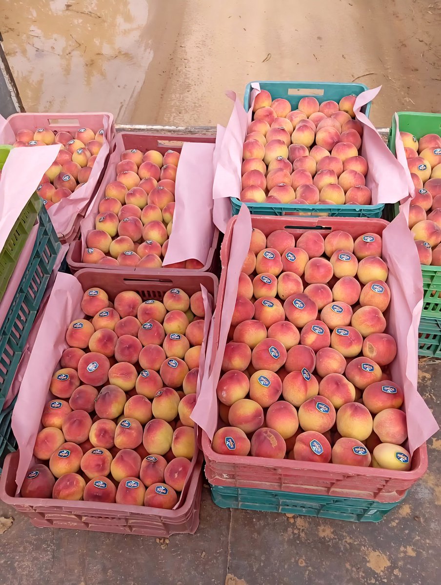 الجبهة الاقتصادية اليمنية tweet media