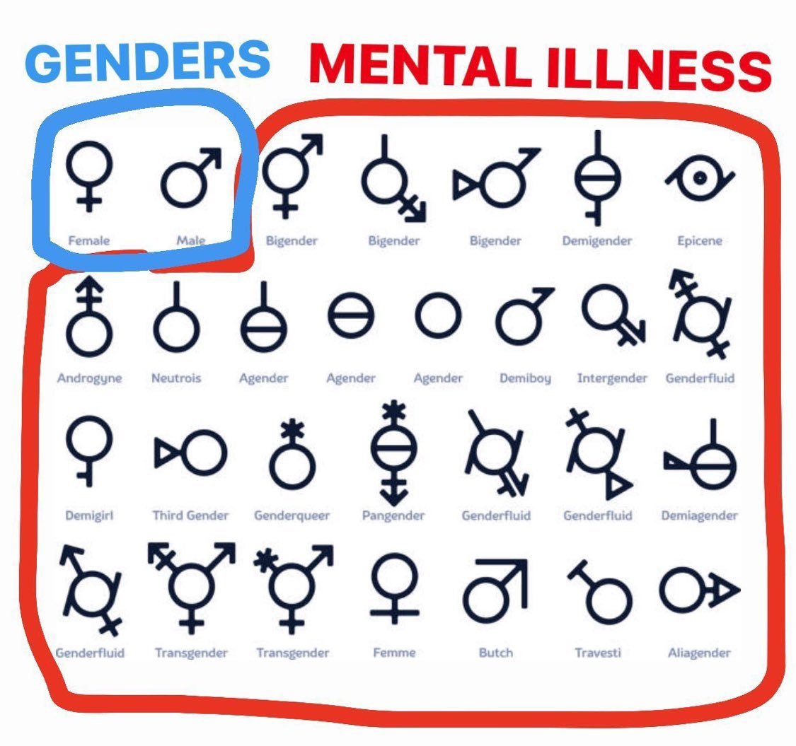 The Rabbit Hole tweet media