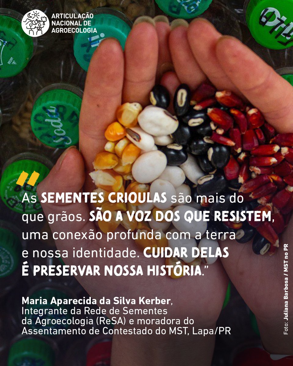 Articulação Nacional de Agroecologia (ANA) tweet media