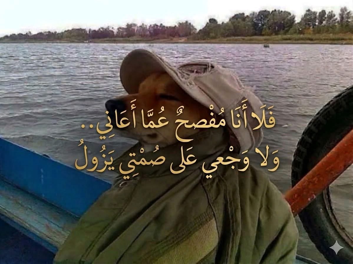 Arab Memes tweet media