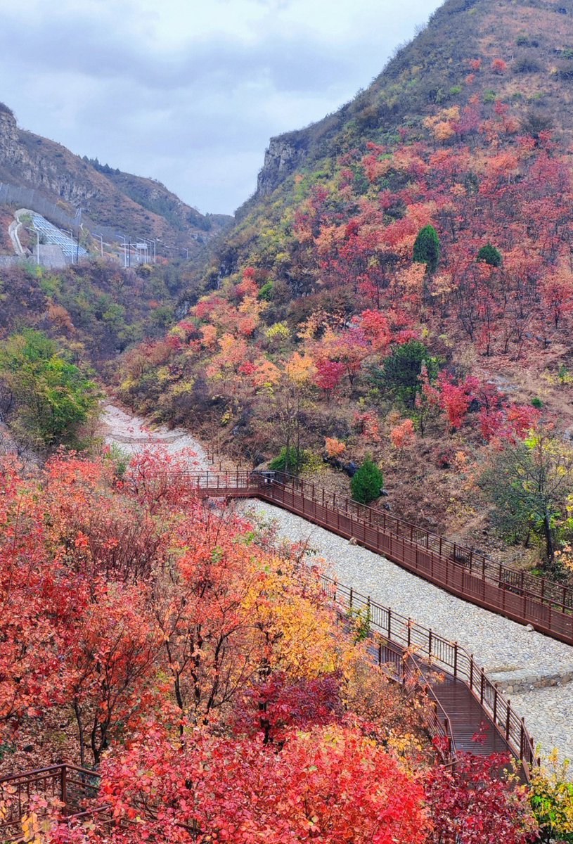 Liew Wei Lon tweet media