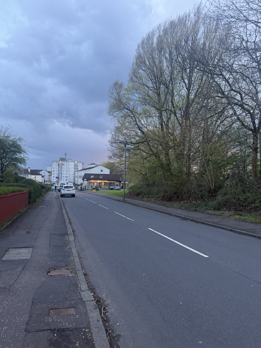 Iamveektoria.base.eth 🙂‍↔️🌳 ✠ tweet media