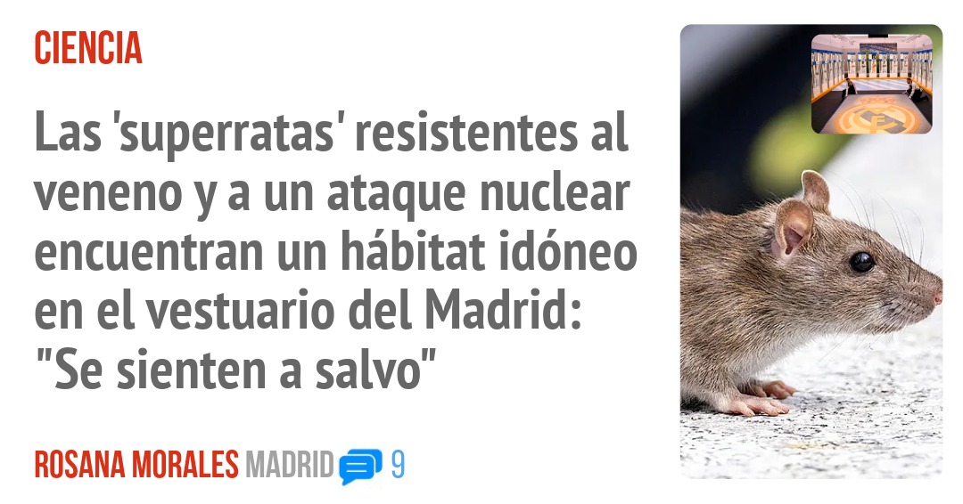 MarcaScroll tweet media