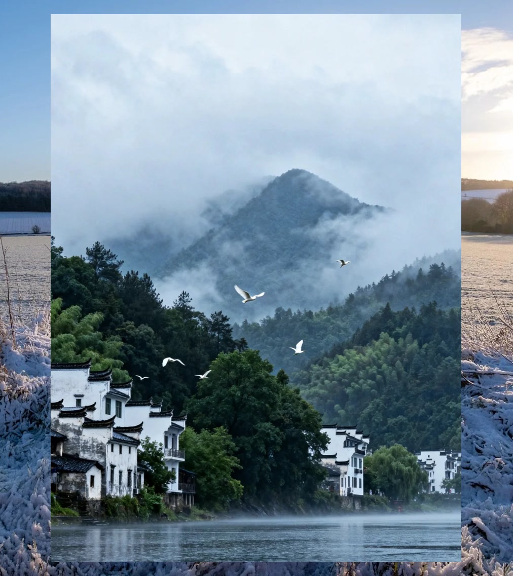 Sandy Adams tweet media