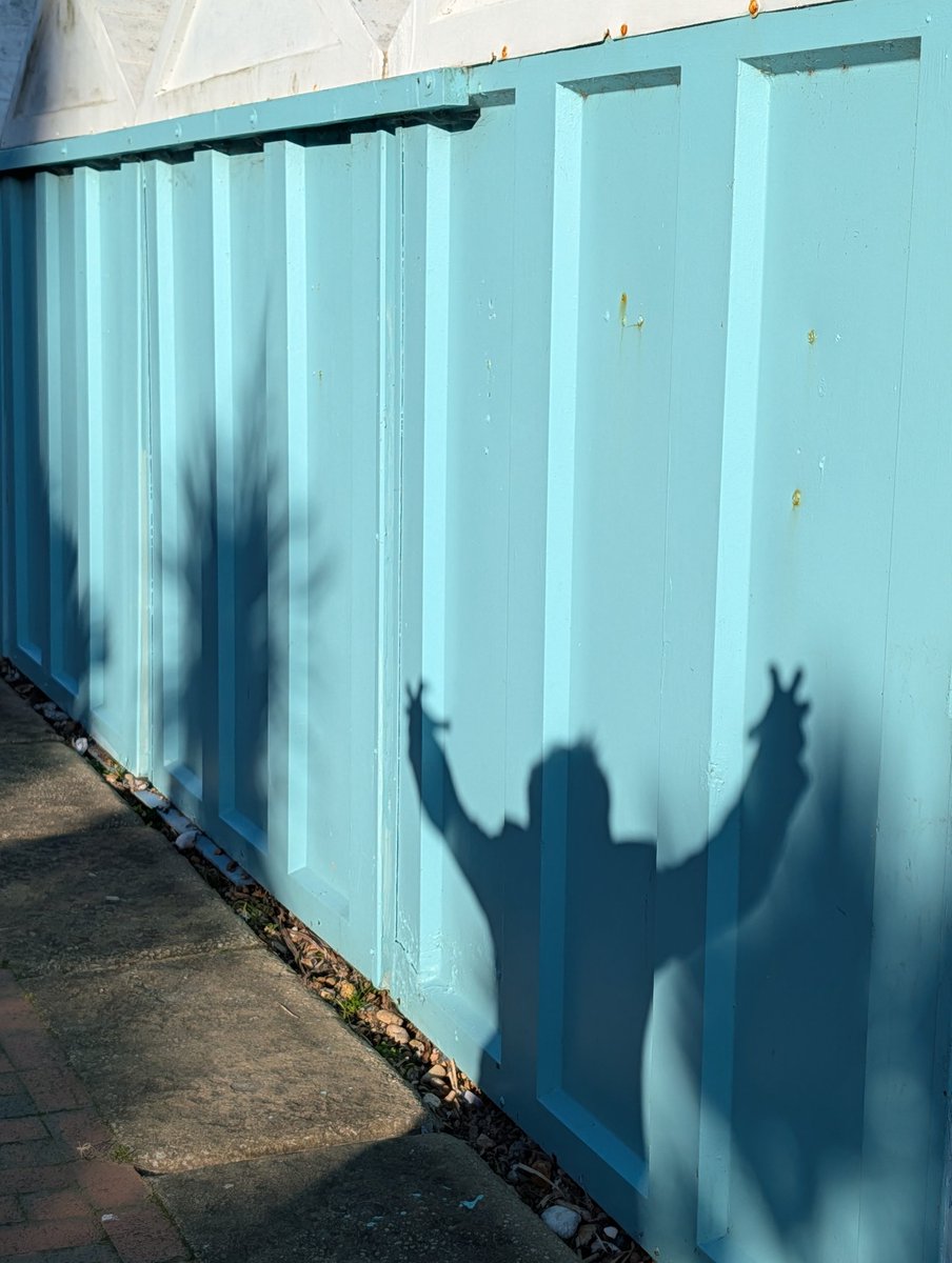 Saffron Swansborough tweet media