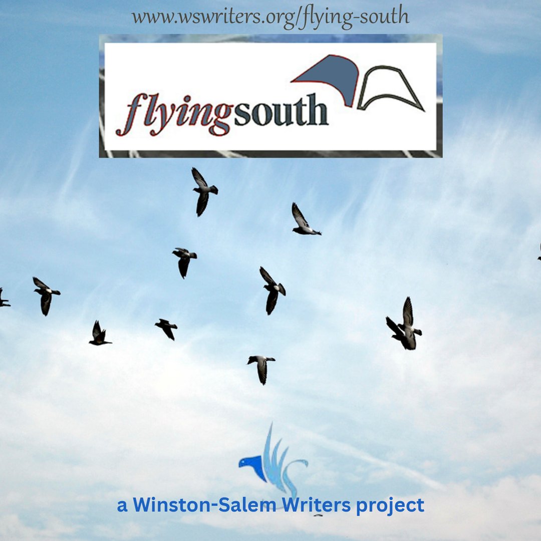 newpages's tweet image. Three genres, three chances to win. The Flying South contest is open through May 31 for fiction, creative nonfiction, and poetry &amp;amp; they're giving out $400 for first place in each genre. $25 fee.

#writers #litmag #writingcontest newpages.com/blog/where-to-…