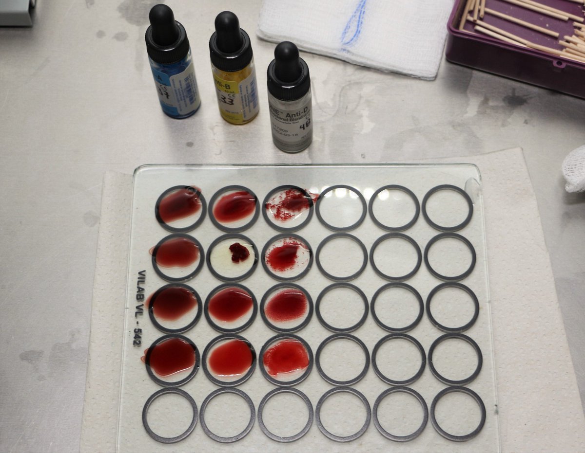 Com. Social del Gobierno de Zacatecas tweet media