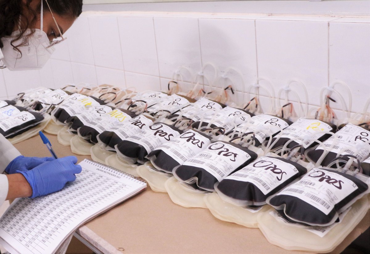 Com. Social del Gobierno de Zacatecas tweet media